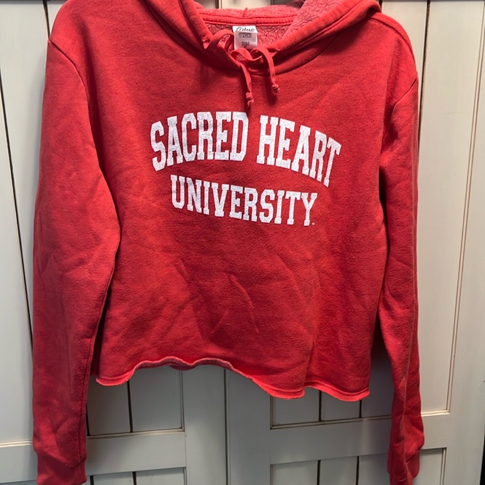 Gently worn Sacred Heart crop top hoodie